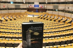 El Guardián del Linaje en el interior del Salón de Plenos del Parlamento Europeo.