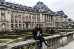 El Guardian, junto al Palacio Real de Bruselas.