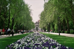 Jardines del Parque del Retiro de Madrid.