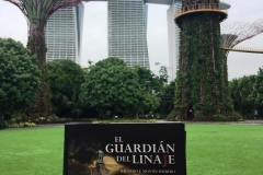 La Novela ante los Jardines de la Bahia de Singapur