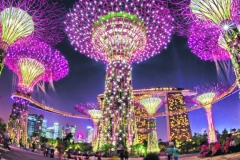 Vista nocturna de los Jardines de la Bahia de Singapur