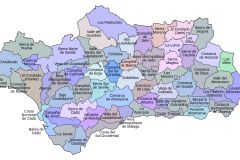 Mapa de las comarcas andaluzas. Al sur, un poco a la izquierda, la comarca de La Janda.